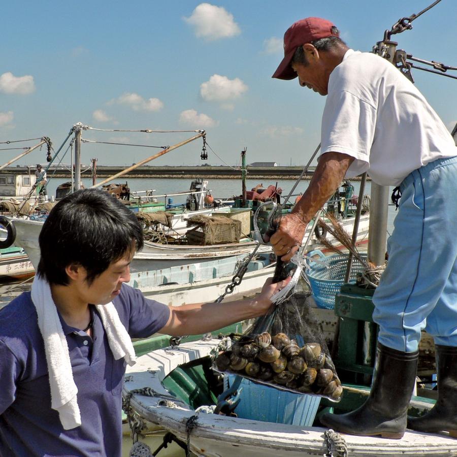 天然はまぐり7年もの3kg
