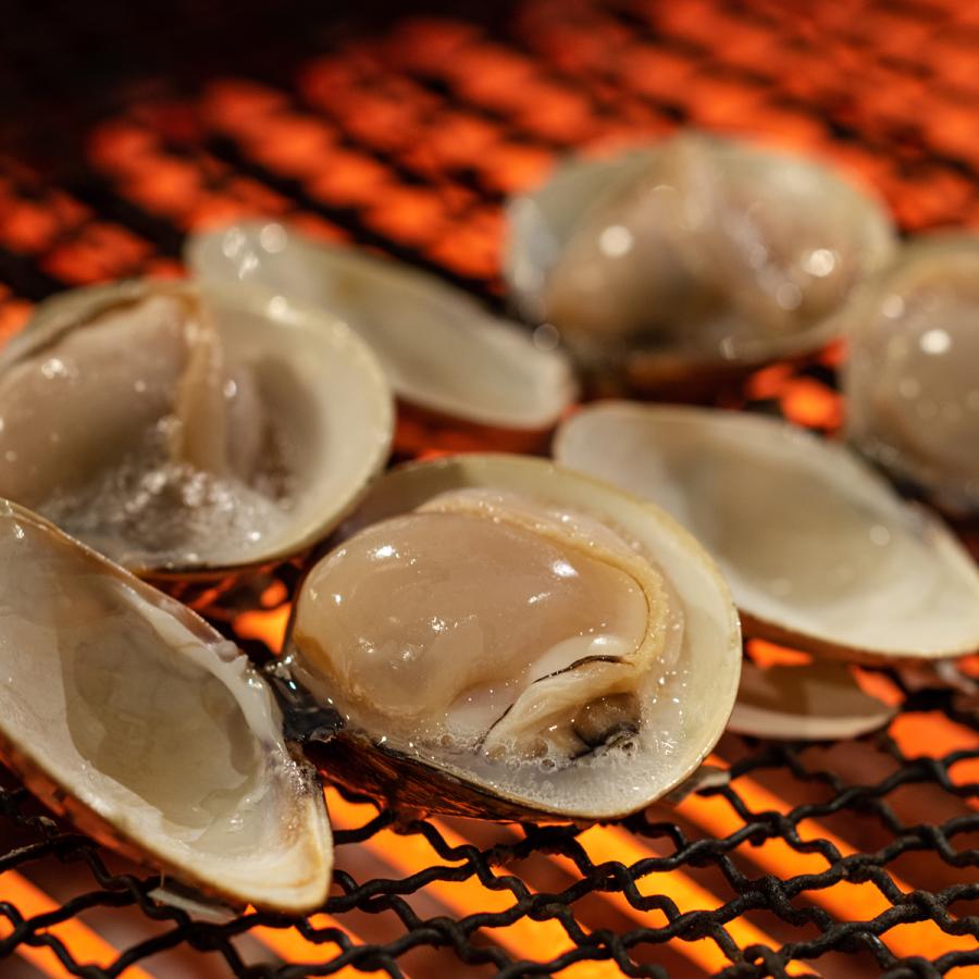 畜養はまぐり5年もの2kg